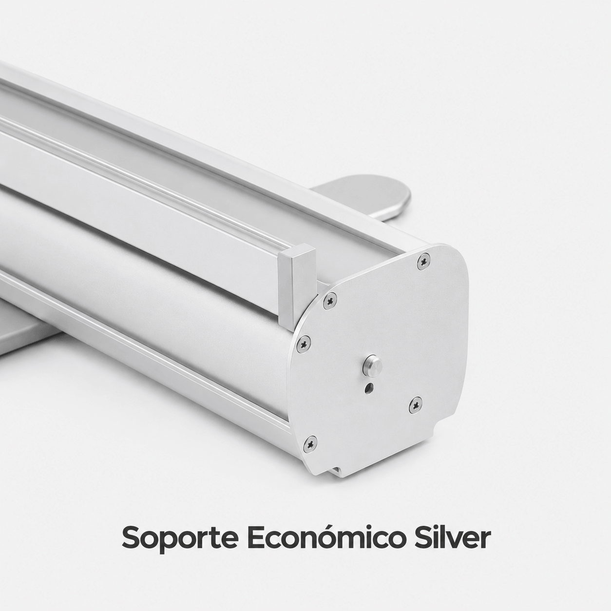 Soporte económico para roll up